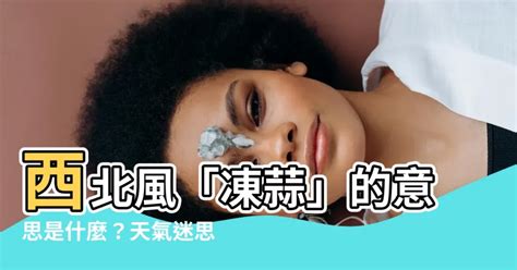 西北風 意思|西北風 的意思、解釋、用法、例句